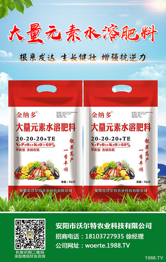 ������ô�N�����۷NֲҪ������Щ��