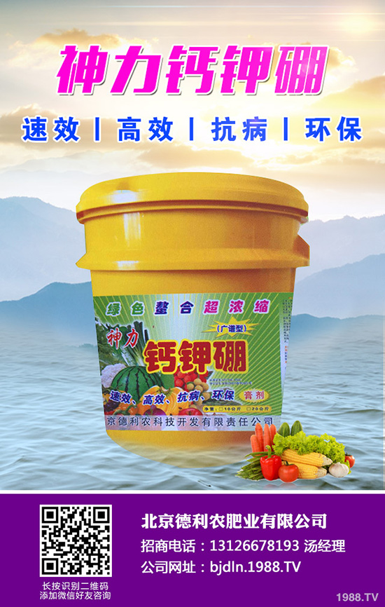 ���¹ϷNֲǰ����������¹ϷNֲҪ�c��