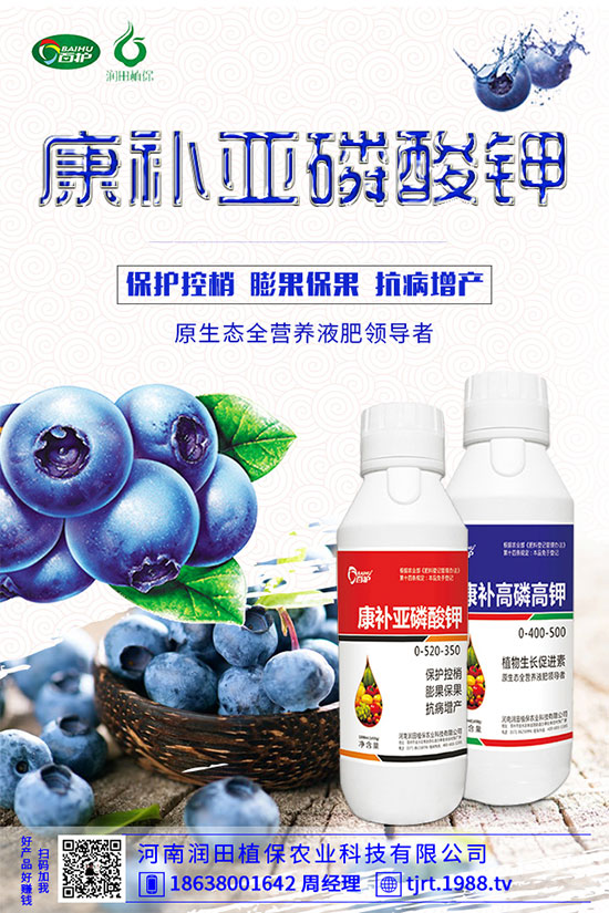 朝天椒什么播種？朝天椒的種植方法及病蟲(chóng)害防治