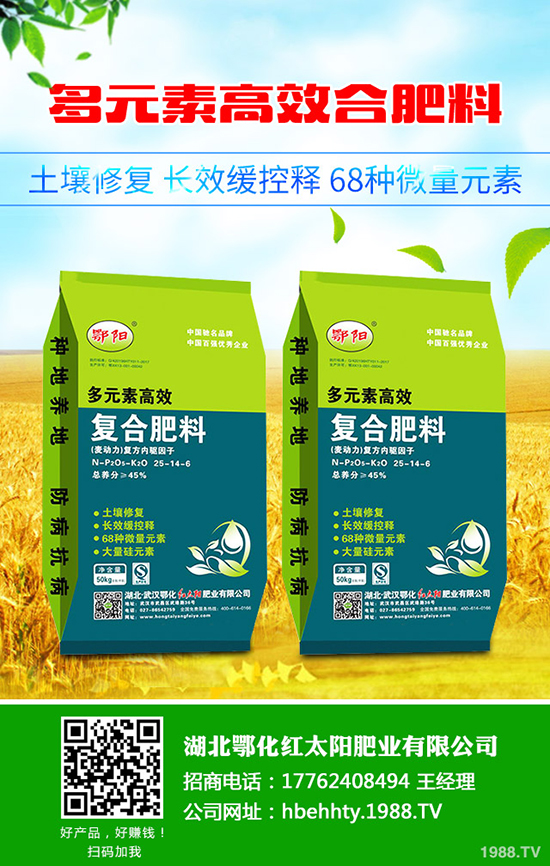 ��Ƥ������ô�N����Ƥ����Nֲ���g(sh��)����Щ��