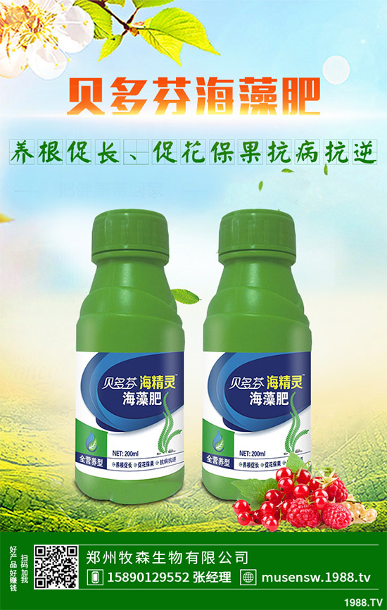 ���E��ʲô�@ô���˚gӭ�����E���Ј��������