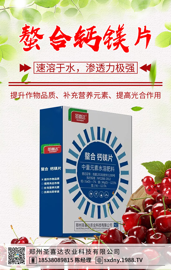 洋薊有哪些營(yíng)養(yǎng)價(jià)值?洋薊的營(yíng)養(yǎng)價(jià)值及功效作用