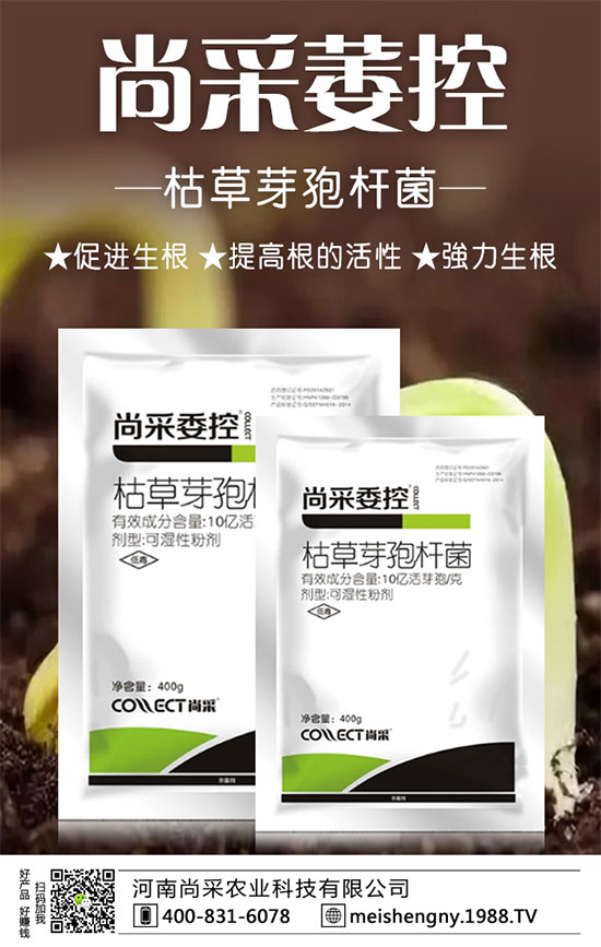 �����ݮ���ɼ����������������ݮʩ��Ҫ�c��