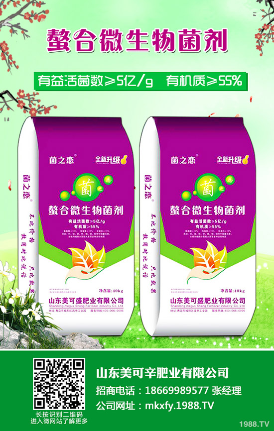 2019-12-11二銨行情進展欠佳!最新磷酸二銨價格報價一覽