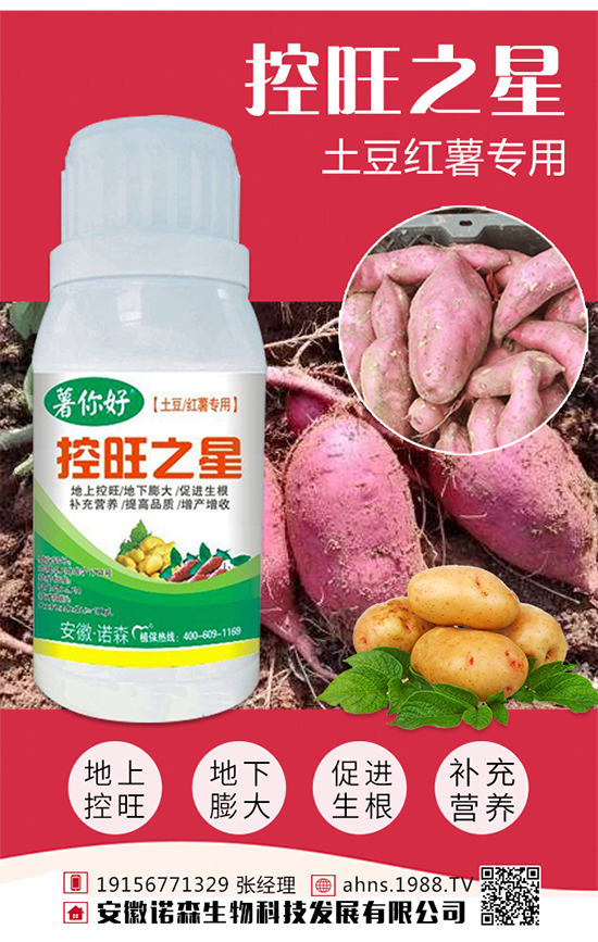 �����Zɭ����Ƽ��l(f��)չ���޹�˾1