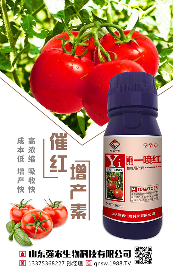 西紅柿農(nóng)藥使用注意事項 西紅柿農(nóng)藥使用操作要點