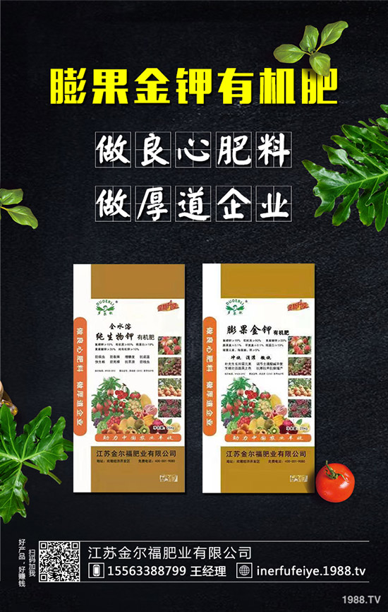 大蒜畸形類型及原因有哪些？如何防止大蒜畸形發(fā)生？