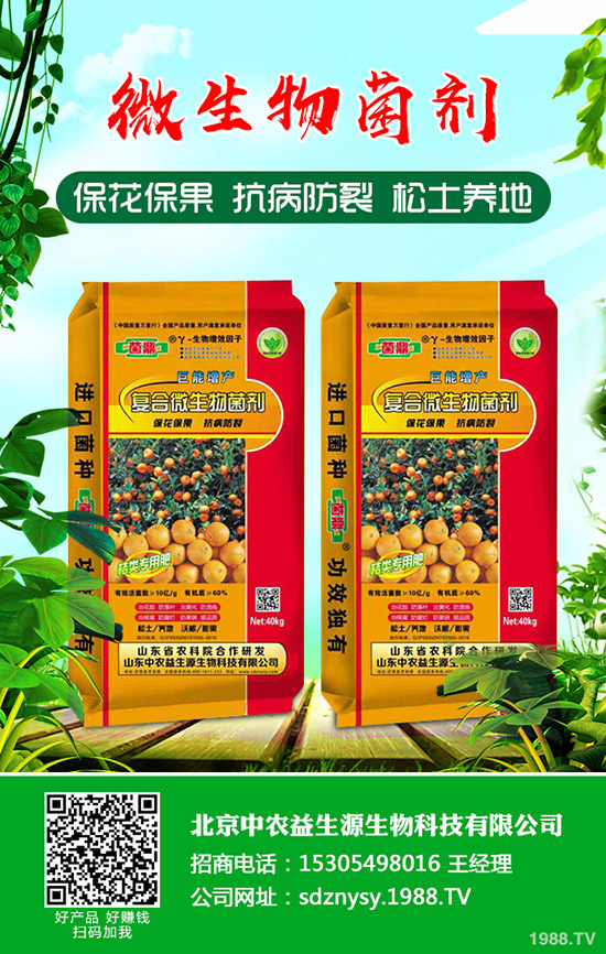     磷酸一銨下游采購意向清淡！2019-12-12最新一銨價(jià)格早報(bào)！