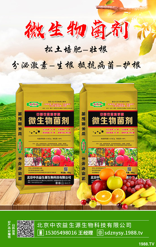     復合肥今年價格“保底”，2019-12-12最新行情走勢綜合分析！