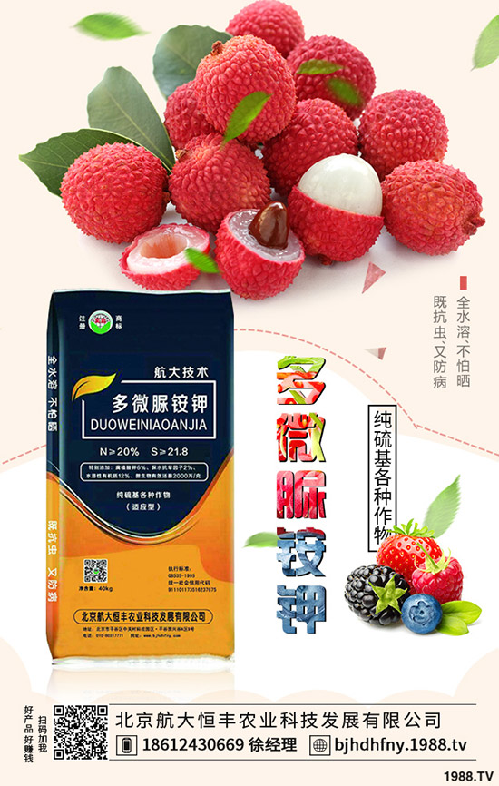 茄子早衰是什么原因?哪些方法能夠預(yù)防茄子早衰?