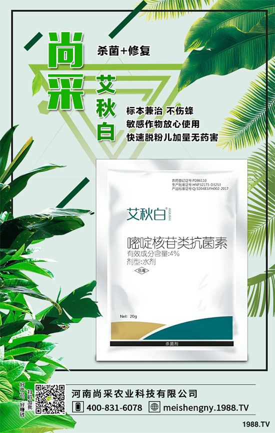 ����������ԭˎ�r(ji��)���Ո�(b��o)2019-12-13