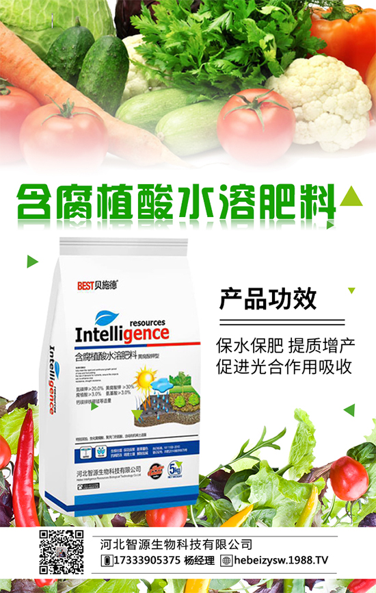 金桔價(jià)格多少錢一斤?金桔種植成本利潤(rùn)分析。ǜ椒N植環(huán)境要求)