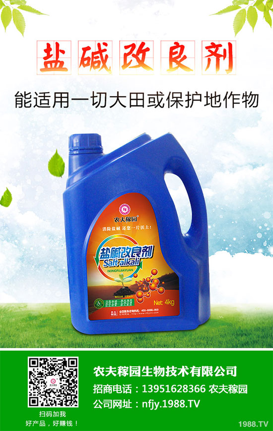 什么是蔓荊子?蔓荊子的功效作用及用法禁忌