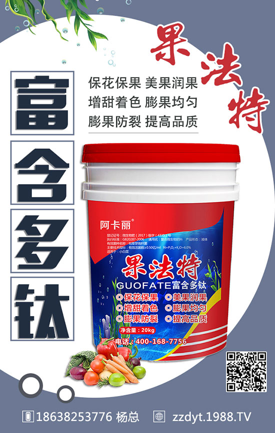 板藍根高產(chǎn)種植技術(shù)