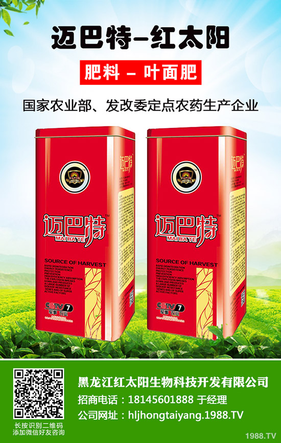 菠蘿種植多久結(jié)果?一年結(jié)幾次果?菠蘿種植方法!