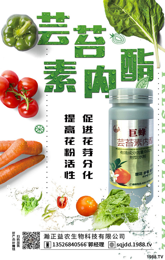 �����߲˲ɹ��ʵ�Σ���������ߴ����߲˲ɹ�����