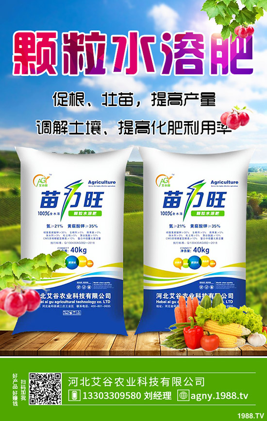 ����ʲô�r��N�������ķNֲ�l������Щ��