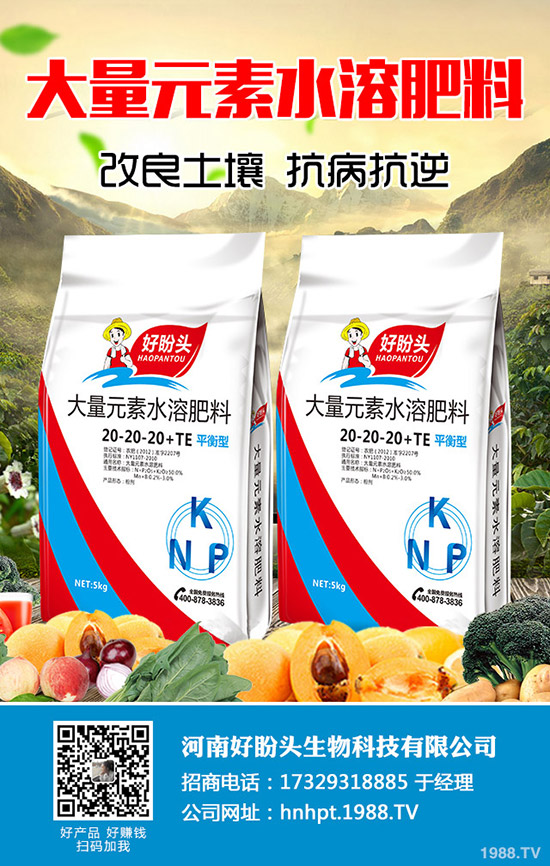 С������ĺ�̎����Щ��С������ע��Ҫ�c��