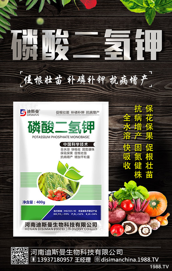 ������ô�Nֲ�������Nֲ�������ճ�����������