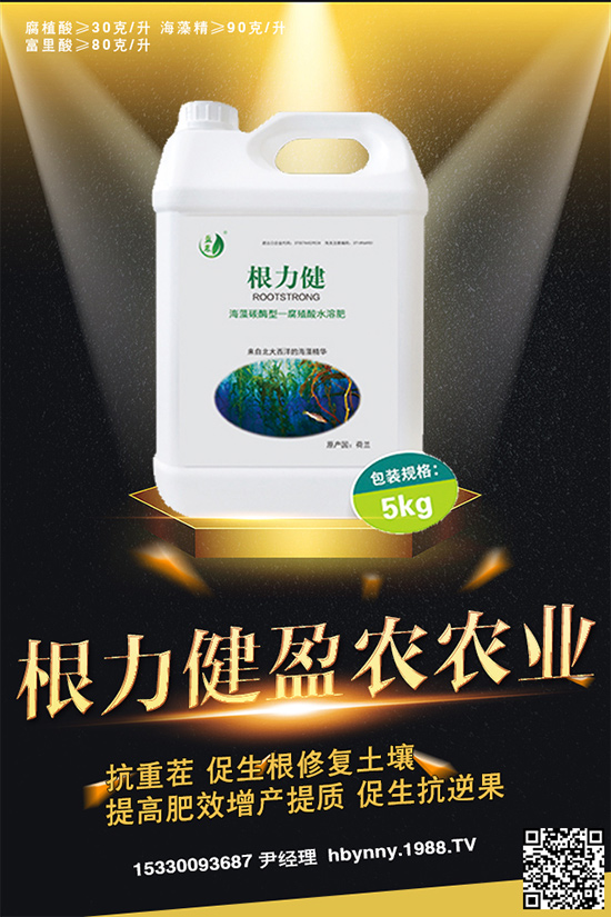     ������ȥ�������_�����_���Ϸ���ע�⡰���ɡ�