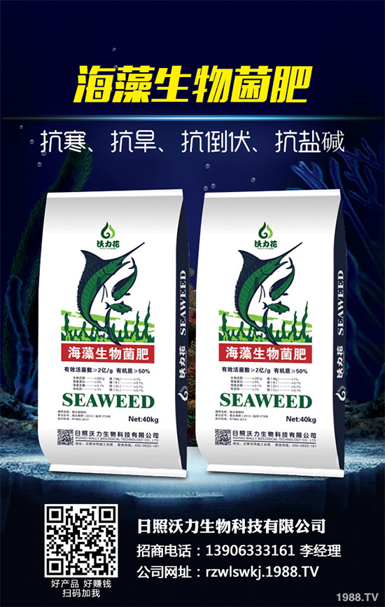 荊芥什么時候種植?荊芥種植時間及種植方法