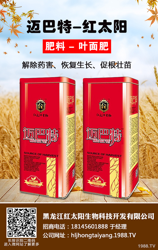 ⛷ʃr���ǝq�ǵ���2019-12-21����(n��i)����⛷ʃr���߄ݷ���