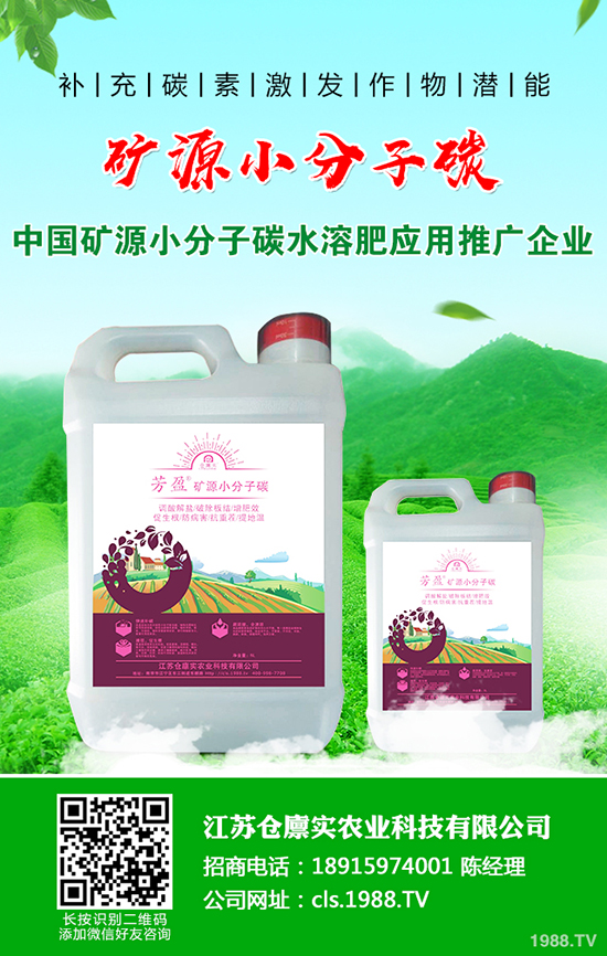 ����������m(x��)����(sh��)��2019-12-21�����������؃r(ji��)�����(b��o)