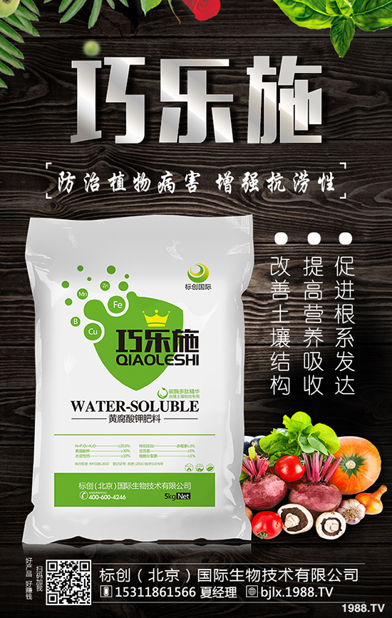 ��Ϟ���缼�g(sh��)Ҫ�c(di��n)