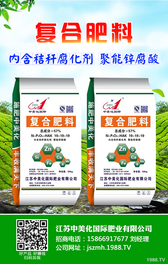 2020年茶油樹種植前景怎么樣?茶油樹種植方法有哪些