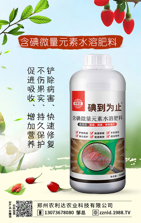 �t�}����ι��������S��������ƌW(xu��)�����҂�֪���᣿