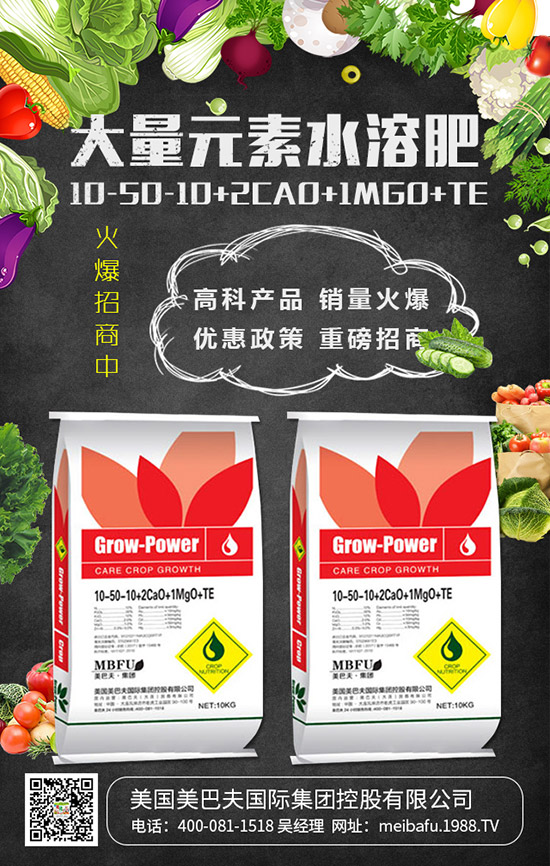     2019���������@��������r��C�Ϸ��������