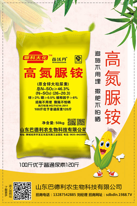     ����⛷�2019�������r��C���u�y������