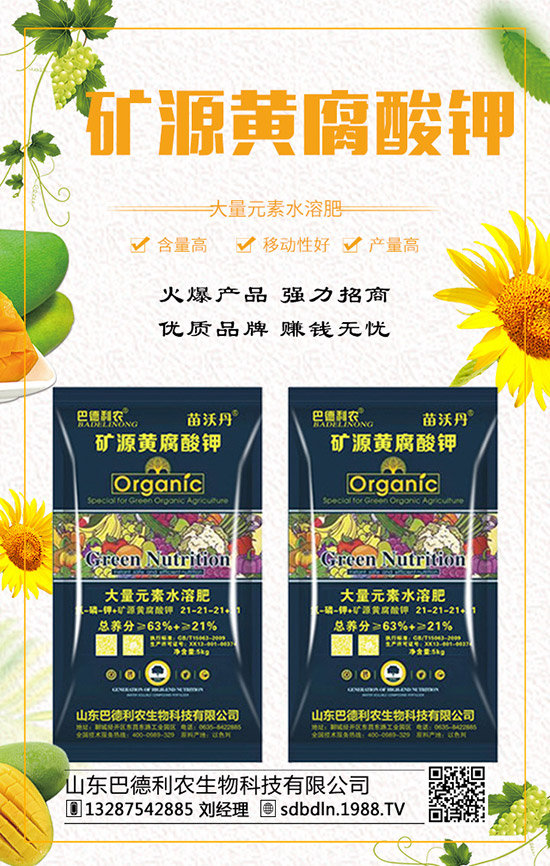     ��(f��)�Ϸ�����q�����F(xi��n)��2019��12��ĩ���r(ji��)���߄�(sh��)�A(y��)�y(c��)��