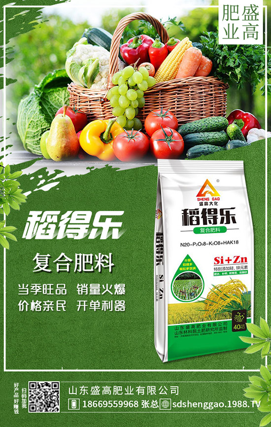     �ֲ��؅^(q��)���������»���12��25�Շ���(n��i)���؃r���߄ݼ��������u��