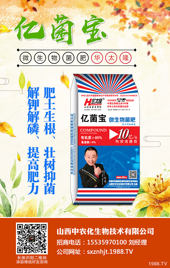 二銨價(jià)格仍存小幅下滑空間?2019年12月底磷酸二銨行情分析!