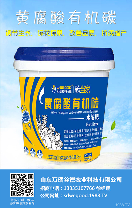 ħ��r������Xһ����2020��ħ��Nֲ���Ј�����