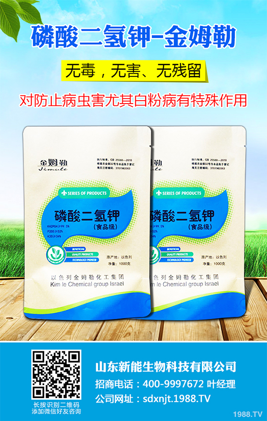 ħ��r������Xһ����2020��ħ��Nֲ���Ј�����