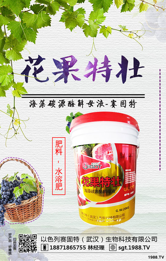 蠶豆怎樣種植才能高產(chǎn),蠶豆的種植時間和方法!