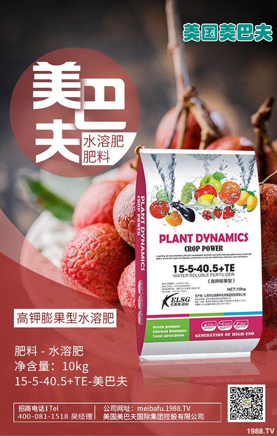 構(gòu)樹(shù)產(chǎn)地在哪里?種植構(gòu)樹(shù)國(guó)家還補(bǔ)貼!2020構(gòu)樹(shù)種植前景如何?賺錢嗎?