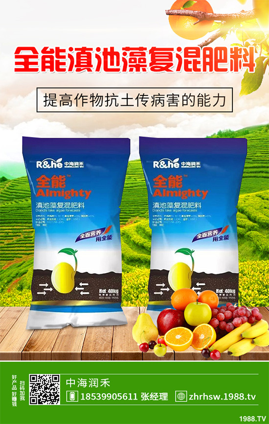 ���r����͸���������Щ�^(q��)�e���ǂ�(g��)Ч��������