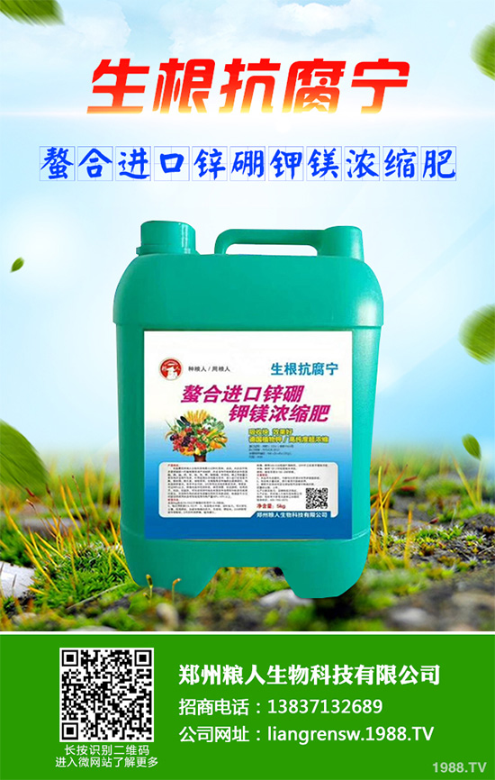 ���r����͸���������Щ�^(q��)�e���ǂ�(g��)Ч��������