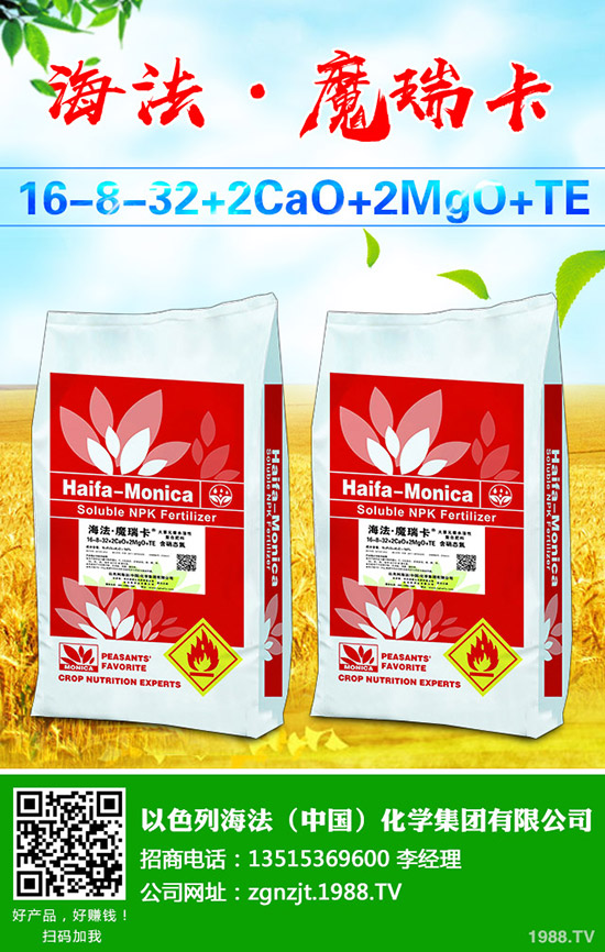     2020年磷銨價(jià)格行情如何？會漲價(jià)格么？最新行情走勢預(yù)測！