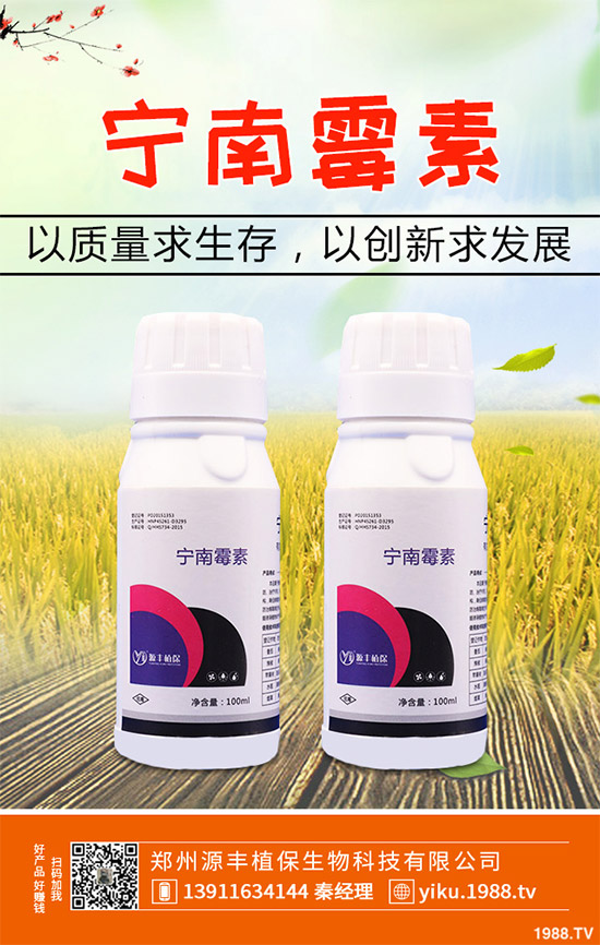     ���宐�����ᚢ�����r��