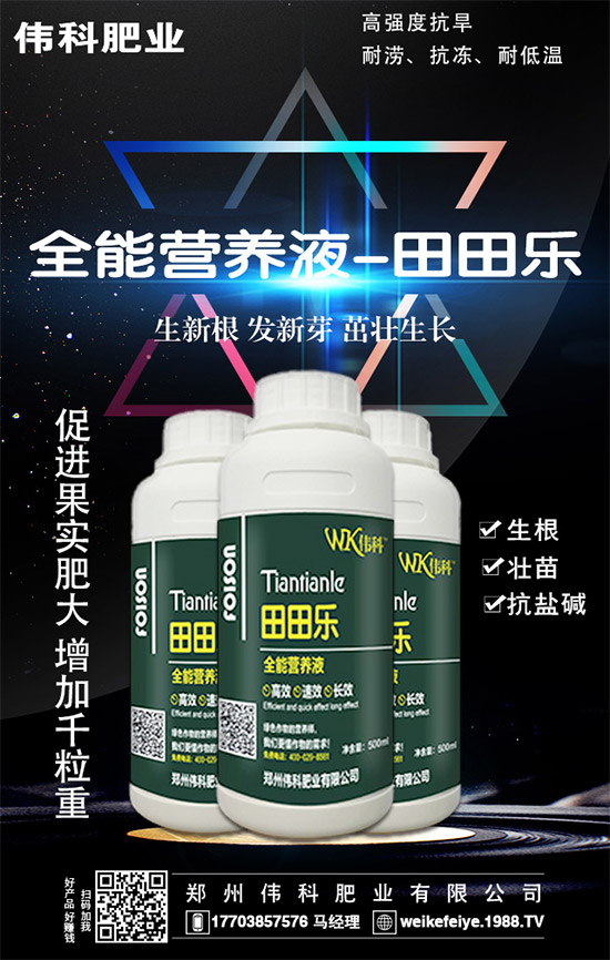     ���ӵĠI(y��ng)�B(y��ng)�r(ji��)ֵ����Щ����Ч�c��������Щ��������Щ��Ⱥʳ����