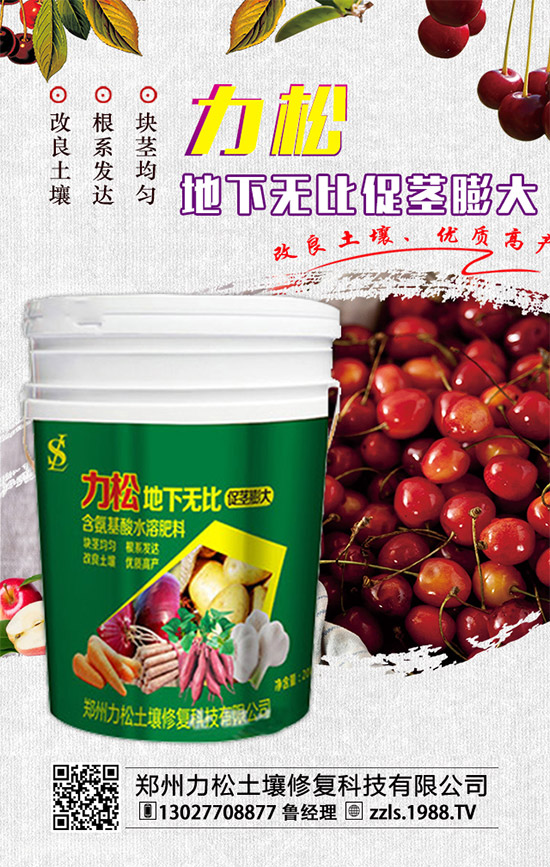     2019-12-4���@�������M(j��n)�������������@�r������������