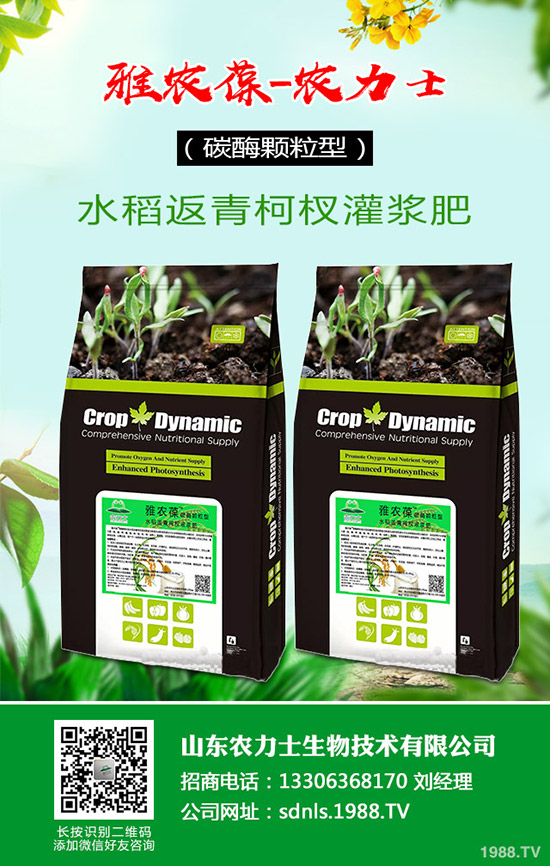 2019-12-4復合肥報價暫穩(wěn)成交下滑!復合肥行情后市預測!