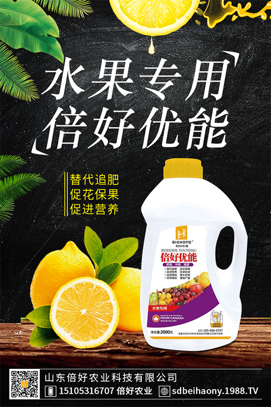 ľ��������Щ�I(y��ng)�B(y��ng)�r(ji��)ֵ��ľ���˵Ĺ�Ч����