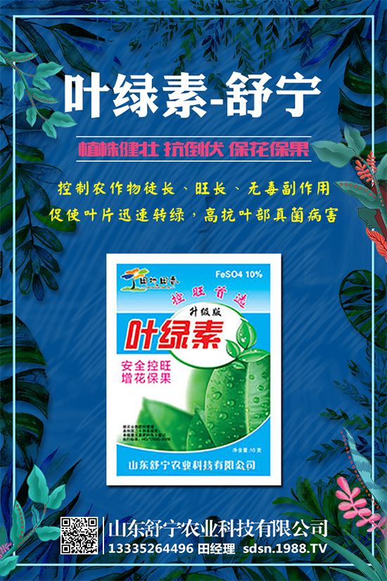 小南瓜對環(huán)境條件有什么要求？小南瓜高產(chǎn)種植要點(diǎn)！
