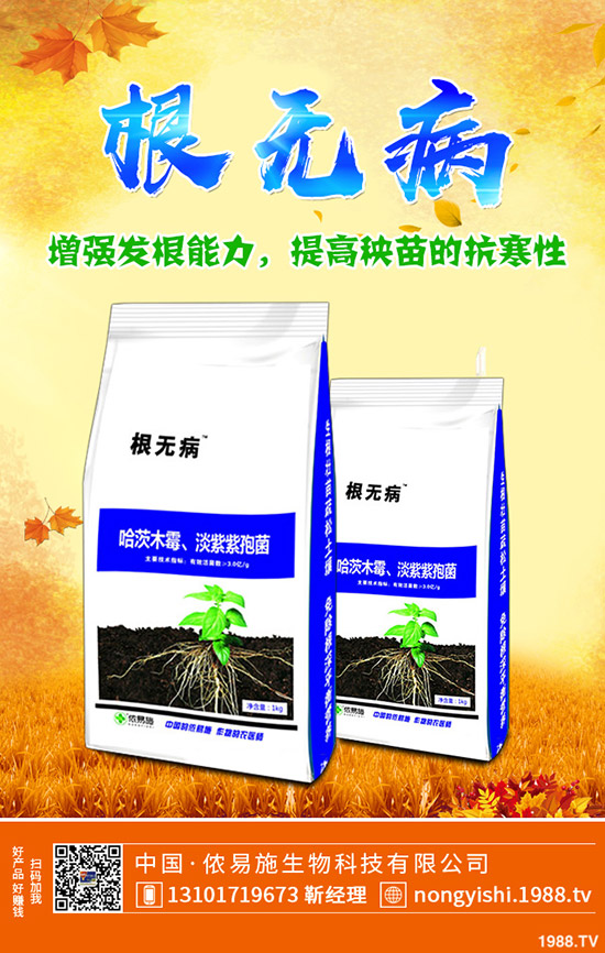 �ڗ��ķNֲҪ�c(di��n)����Щ���ڗ������g����