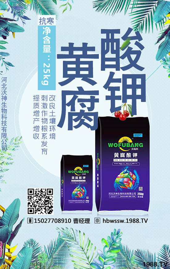 ��������Ч�ı��|(zh��)�چ�����������c(di��n)�M(j��n)�������a(ch��n)����